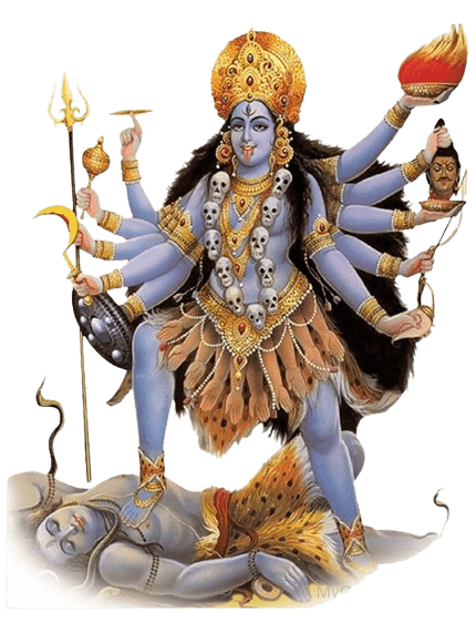 kaliji image