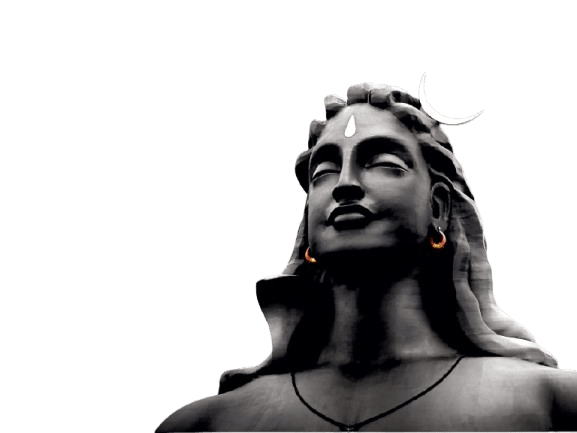 About Astrologer Jagannath Ji – Trusted Indian Astrologer